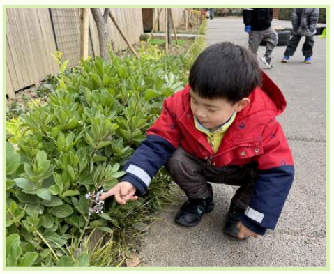 小班图片故事 小班图片故事