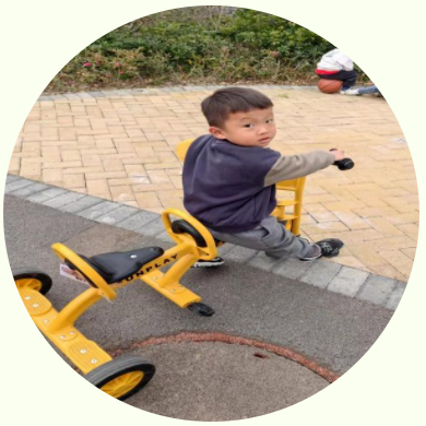 小班图片故事 小班图片故事