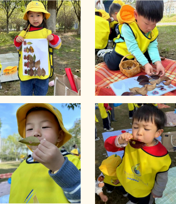 户外教学日 户外教学日