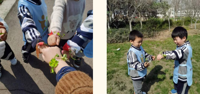 户外教学日 户外教学日